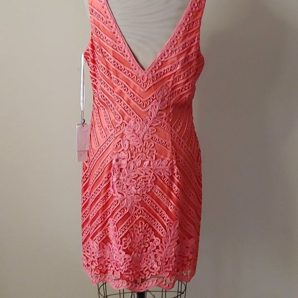 NWT Sue Wong Embroidered Short Formal Dress - Picture 3 of 5